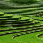 Oslo, Norway to Jakarta, Indonesia for only €466 roundtrip (Feb-Jun dates)