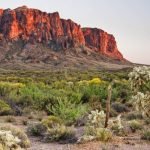 Non-stop from New York to Phoenix, Arizona (& vice versa) for only $189 roundtrip (Jan-May dates)