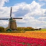 SUMMER: Los Angeles to Amsterdam, Netherlands for only €342 roundtrip